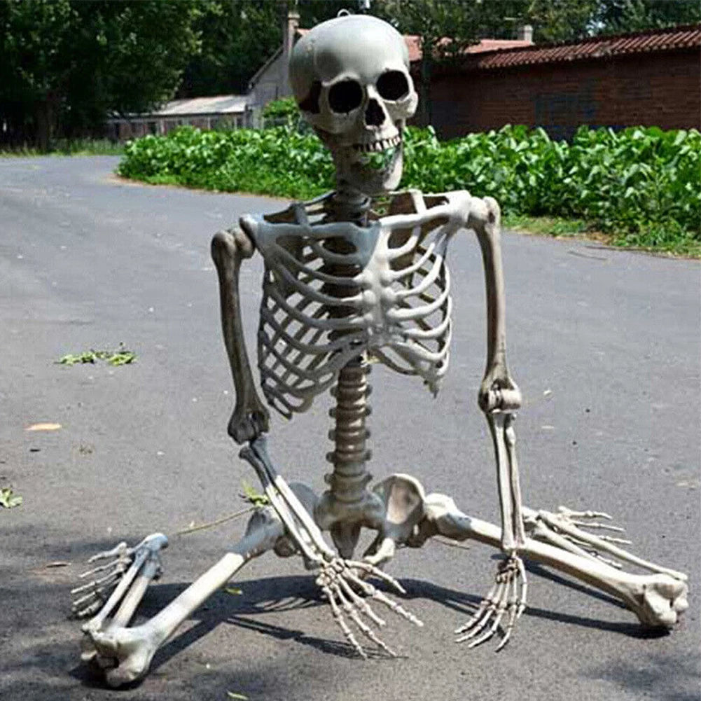 Life Size Haunted House Skull Prop Halloween Skeleton