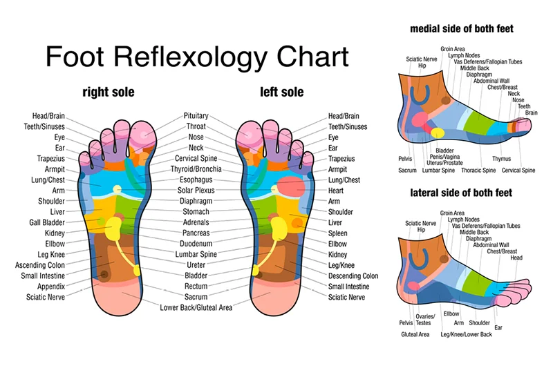 Wooden Foot Massage Roller Relieves Fatigue Foot Pain and Plantar Fasciitis Plantar Muscle Relaxation Tool Releases Lymph