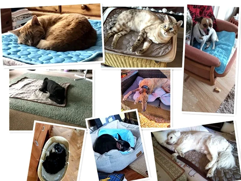 Ultimate Cooling Pet Mat. Breathable Washable Summer Cooling Pad for Dogs & Cats