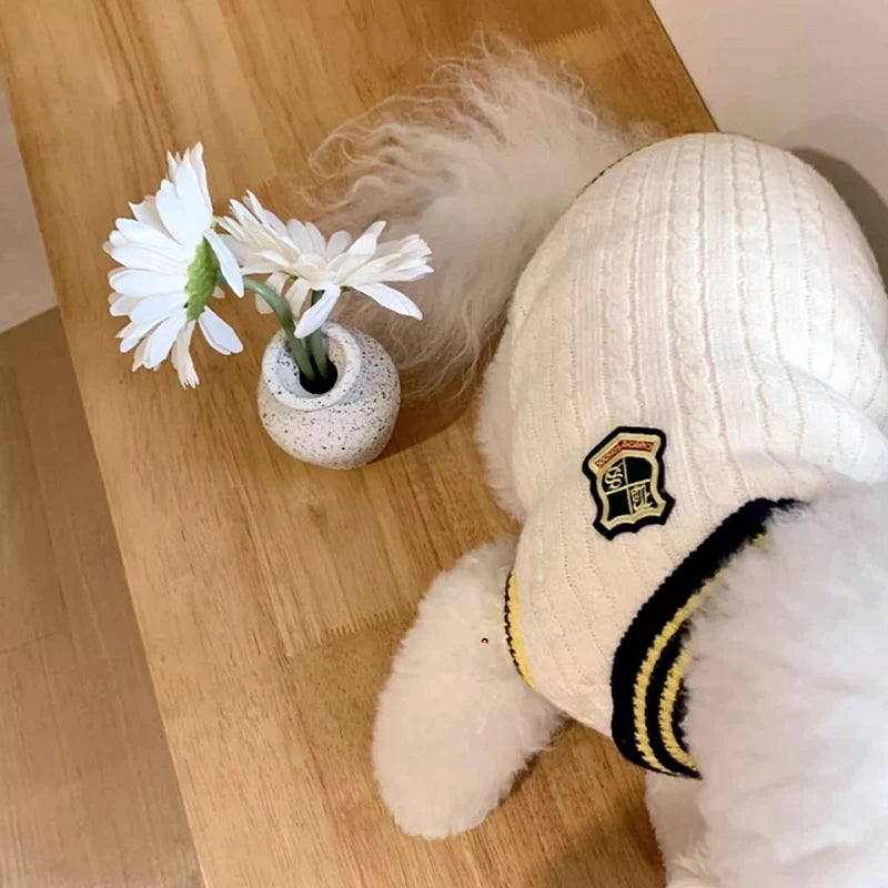 Dog Sweater Bear Striped Puppy Winter Clothes Pet Warm Sweatshirt Knitted Dog Coat Chihuahua Dachshund Clothing Dog Pullover