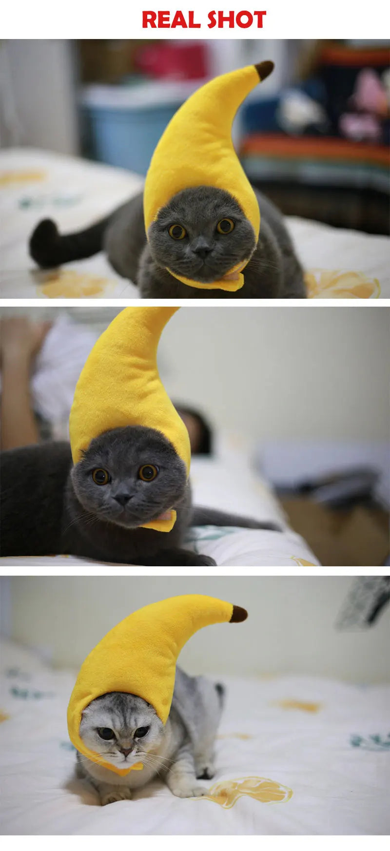 Funny Hat for Cat Sunflower Christmas Costume Pet Hat Halloween Cosplay Keep Warm Headwear Dogs Hats Puppy Accessories for Cats