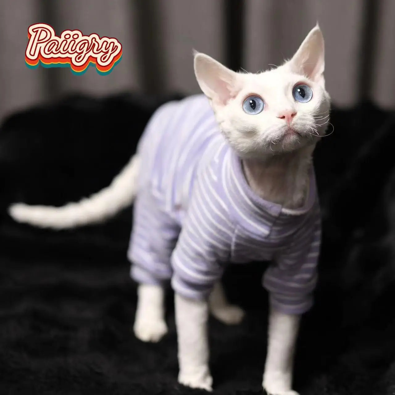 Cozy Striped Hairless Cat Sweater.  Soft Warm Pet Turtleneck Outfit