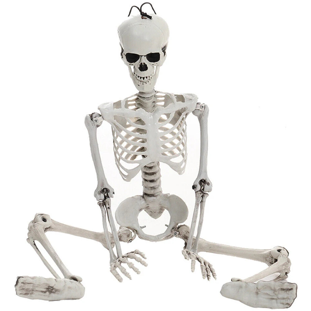 Life Size Haunted House Skull Prop Halloween Skeleton