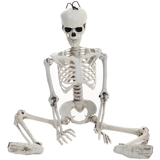 Life Size Haunted House Skull Prop Halloween Skeleton