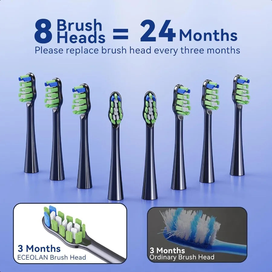 Rechargeable Sonic Toothbrush for Adults IPX7 Case Char