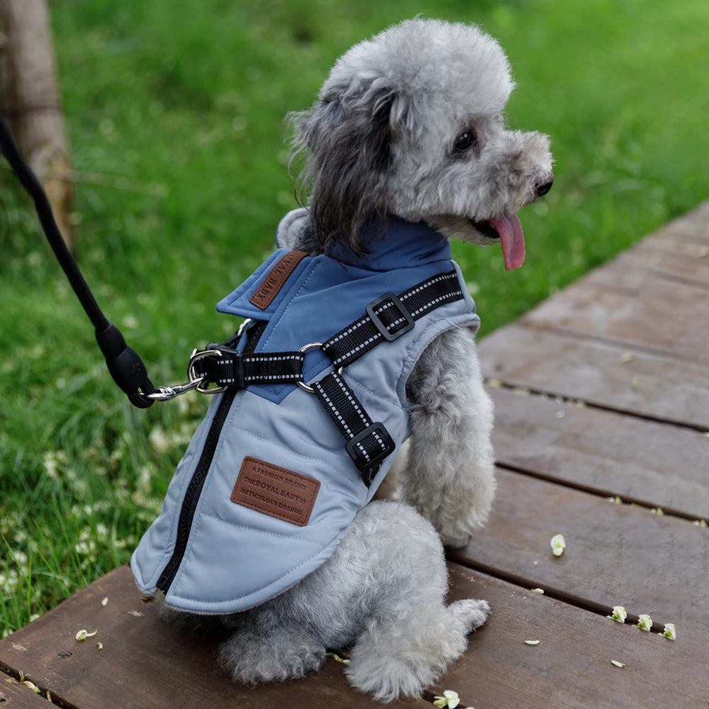 Adjustable Dog Harness Jacket with Leash for Small Dogs