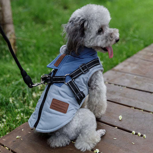 Adjustable Dog Harness Jacket with Leash for Small Dogs