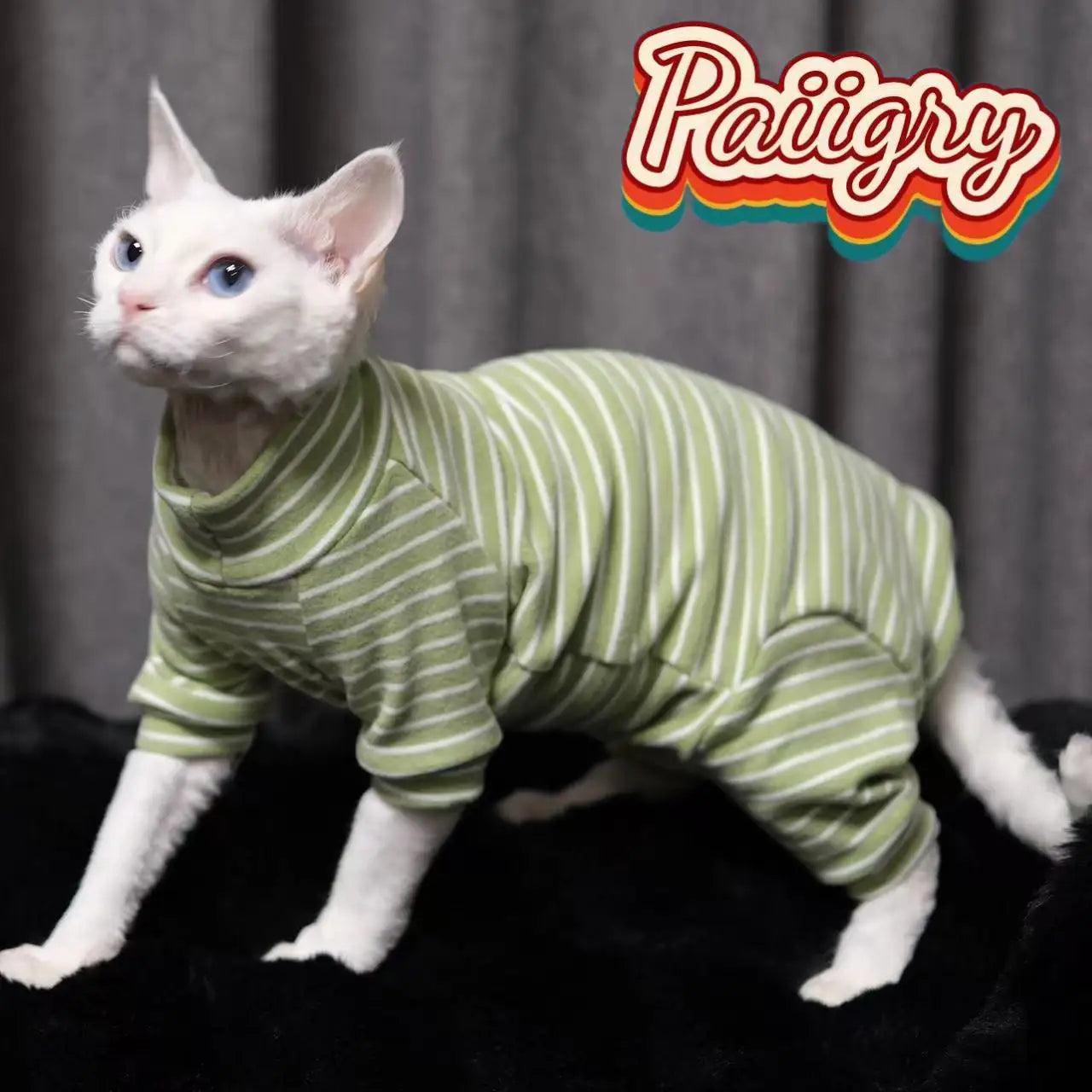 Cozy Striped Hairless Cat Sweater.  Soft Warm Pet Turtleneck Outfit
