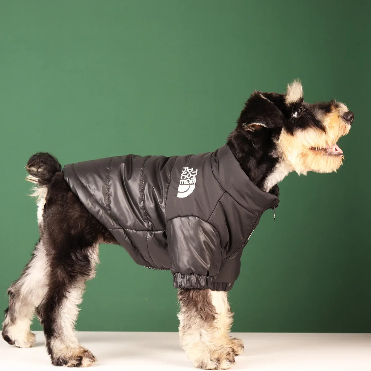 Winter Windproof Dog Jacket for French Bulldogs & Small Dogs