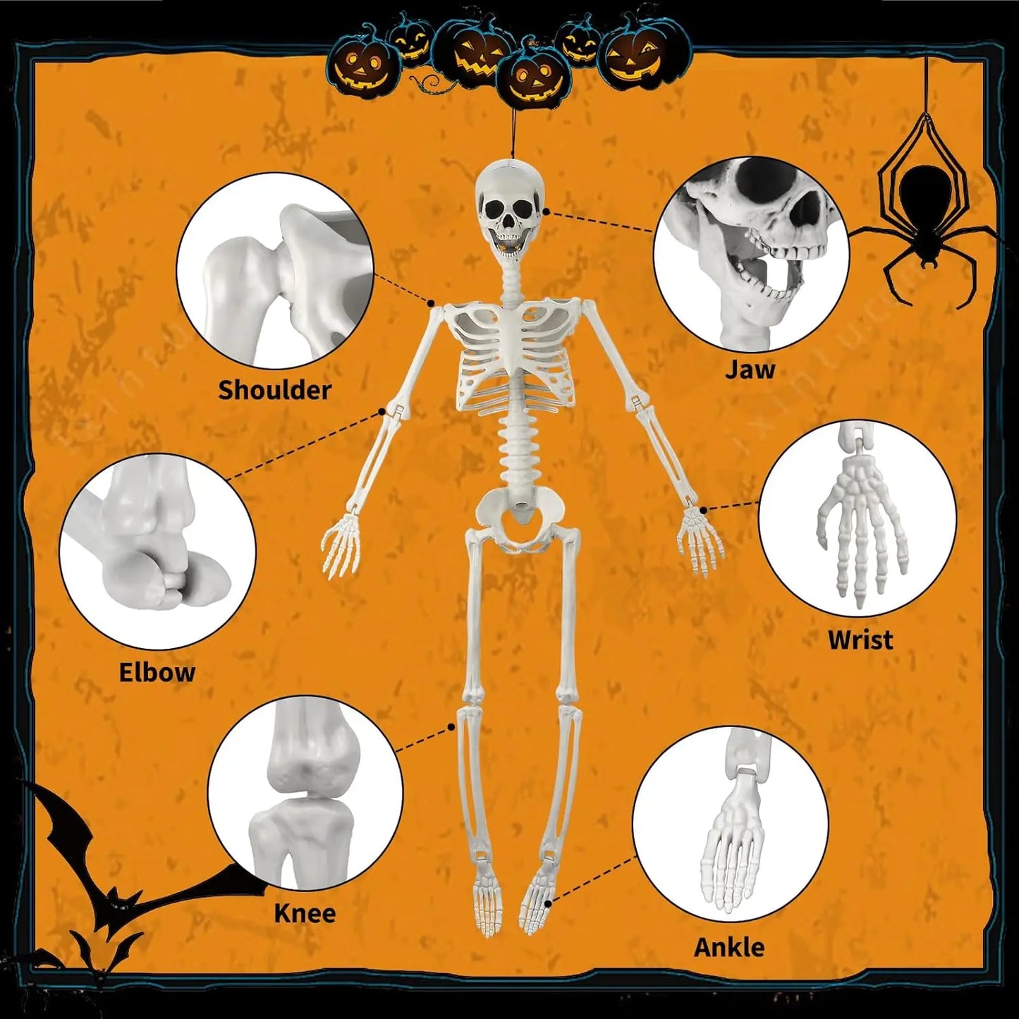 36" Skeleton Halloween Decor, 3FT Posable Halloween Skeleton Decorations, Realistic Full Body Plastic Skeleton for Halloween