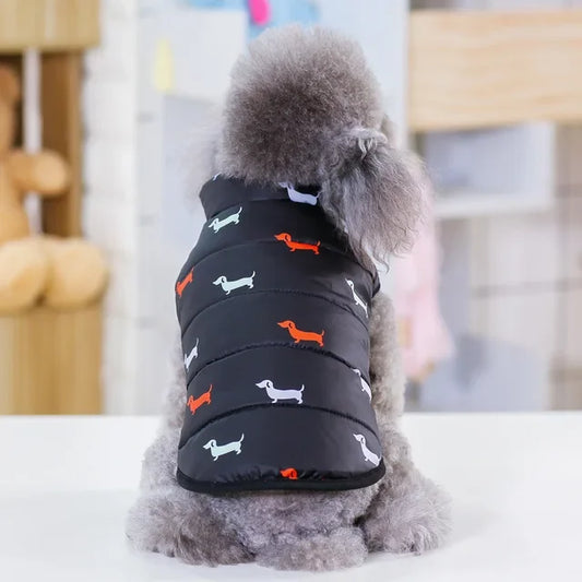 Leather Winter Coat For Small Dogs Warm Chihuahua Shih Tzu