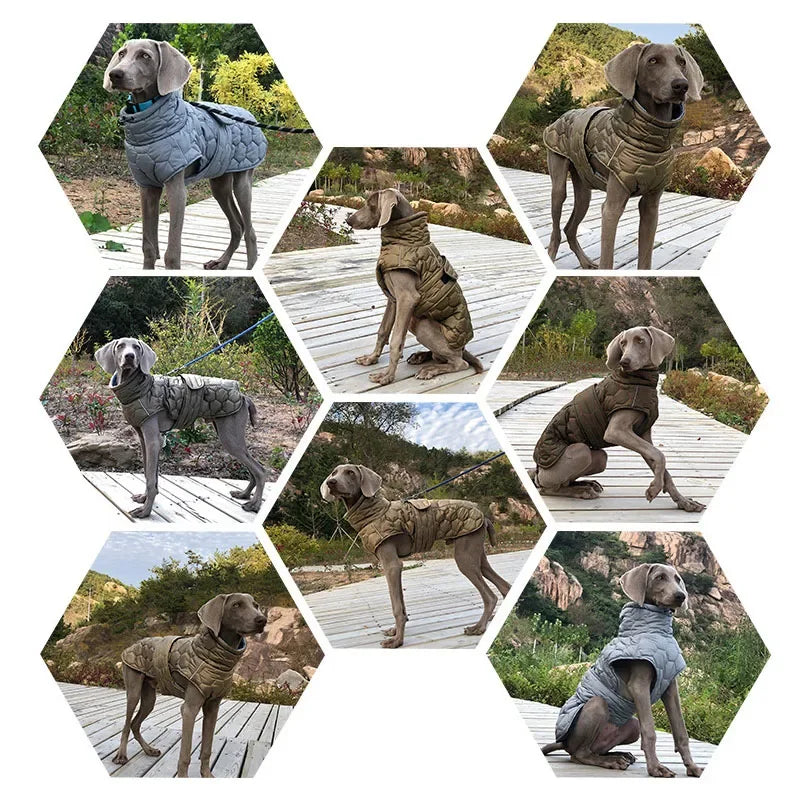 Winter Warm Dog Clothes Thick Reflective Snowsuit Pet Dog Down Jacket for Large Breed Dogs Parkas Clothing for Whippet Greyhound