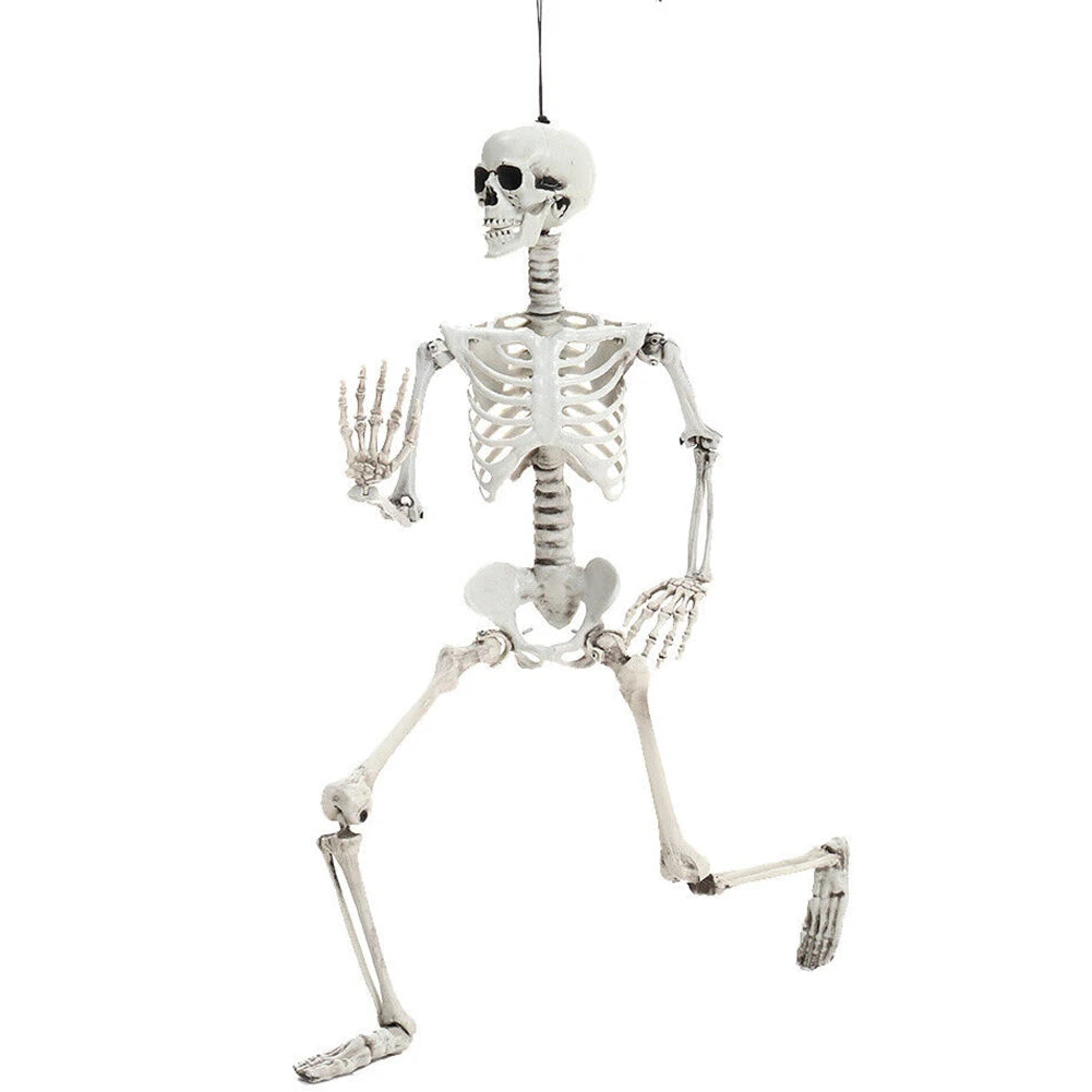 Life Size Haunted House Skull Prop Halloween Skeleton