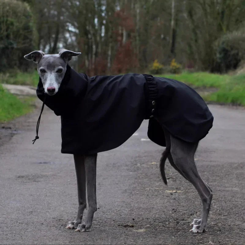 Luxury Waterproof Greyhound Dog Raincoat . Windproof Whippet Outdoor Jacket