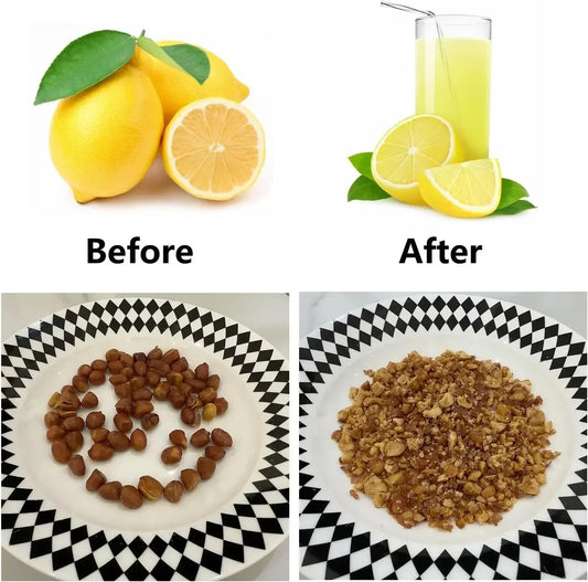Manual Heavy Duty Citrus Juicer And Nut Grinder For Fruits