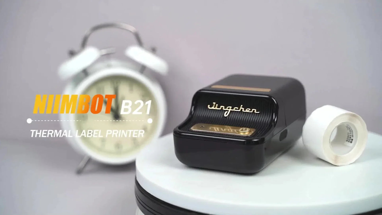 Niimbot B21 Portable Thermal Label Printer for Home Office & Small Business
