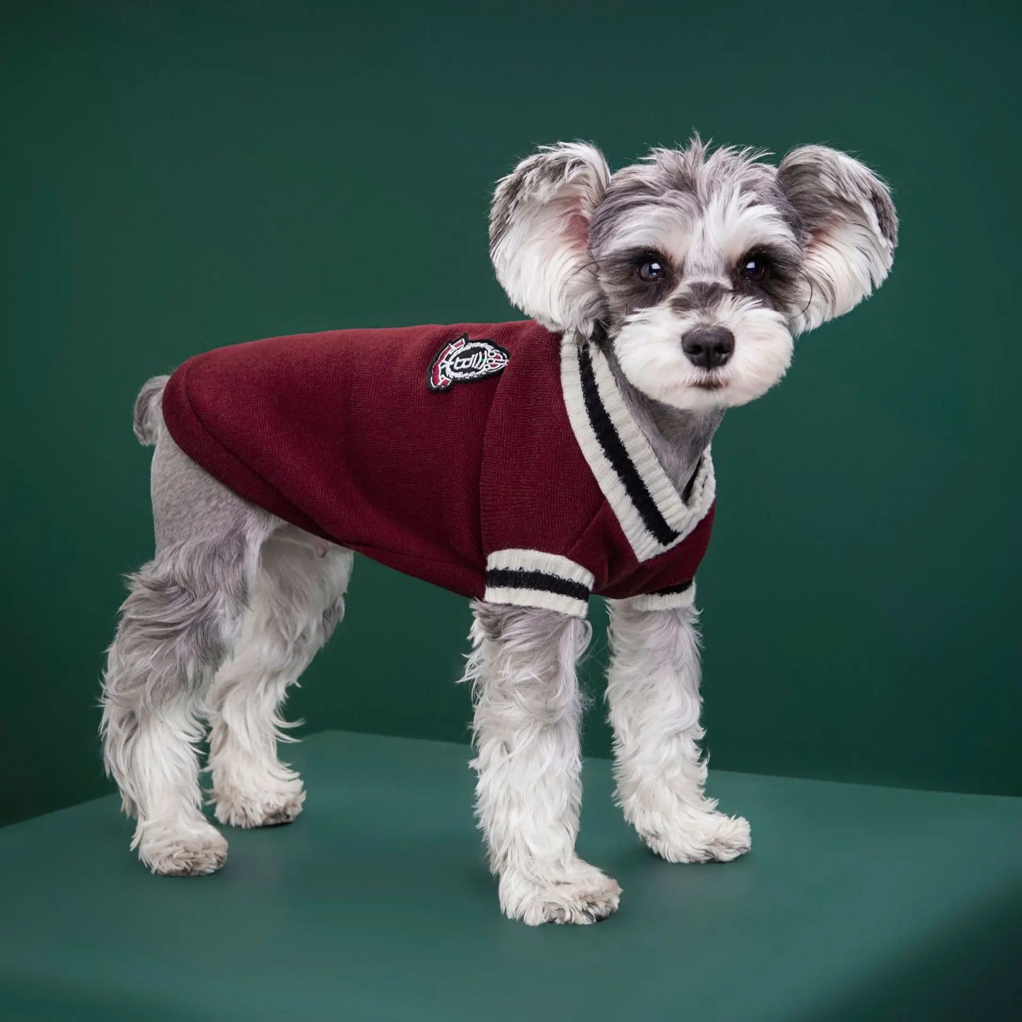 College Style Pet Dog Sweater. Warm Winter Outfit for Small & Medium Dogs