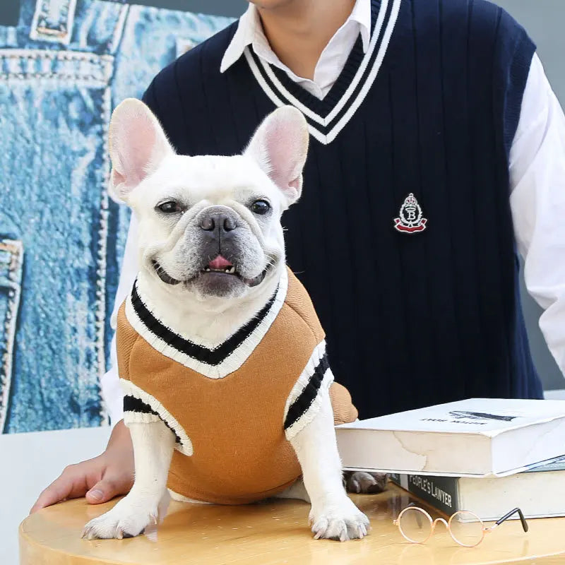 College Style Pet Dog Sweater. Warm Winter Outfit for Small & Medium Dogs