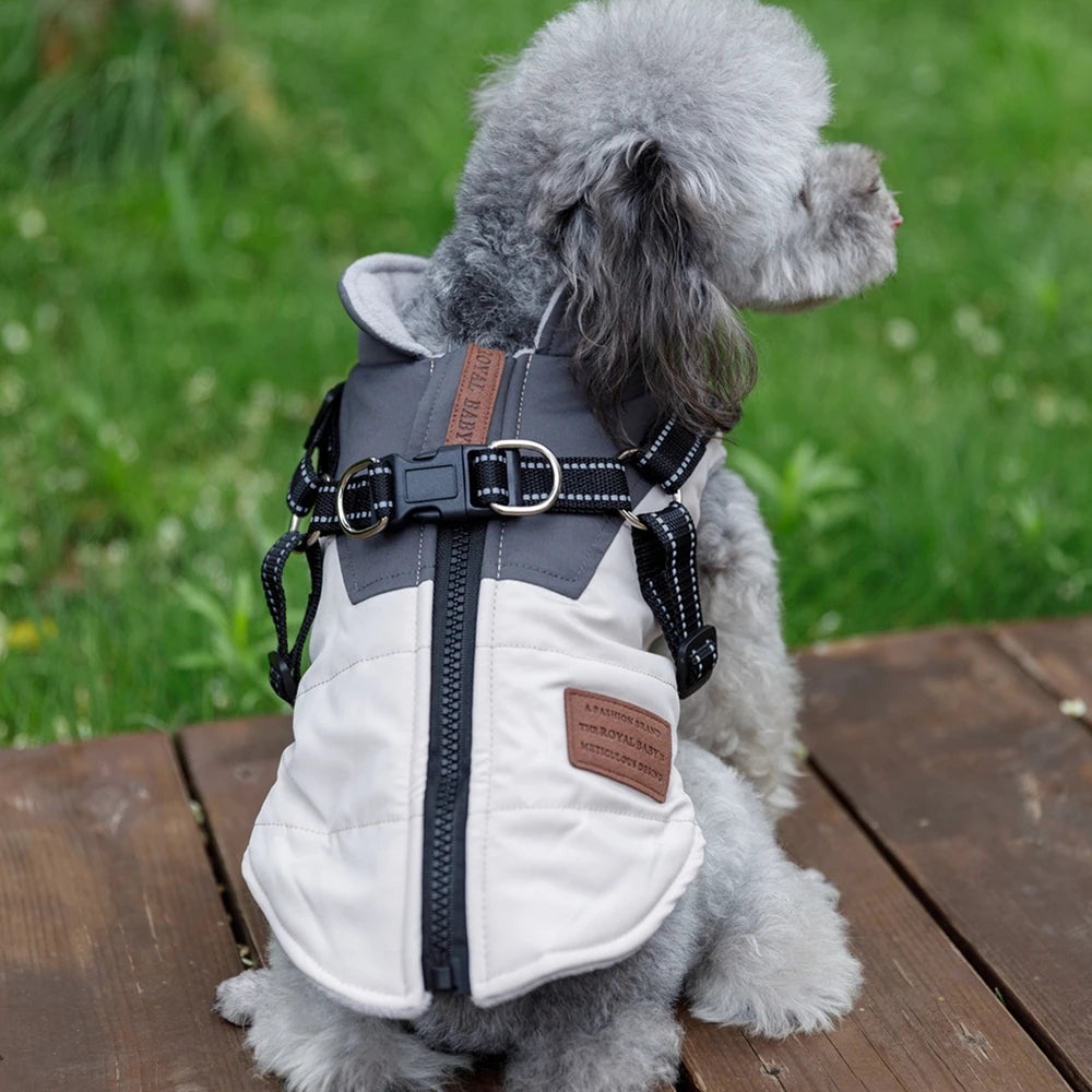 Adjustable Dog Harness Jacket with Leash for Small Dogs