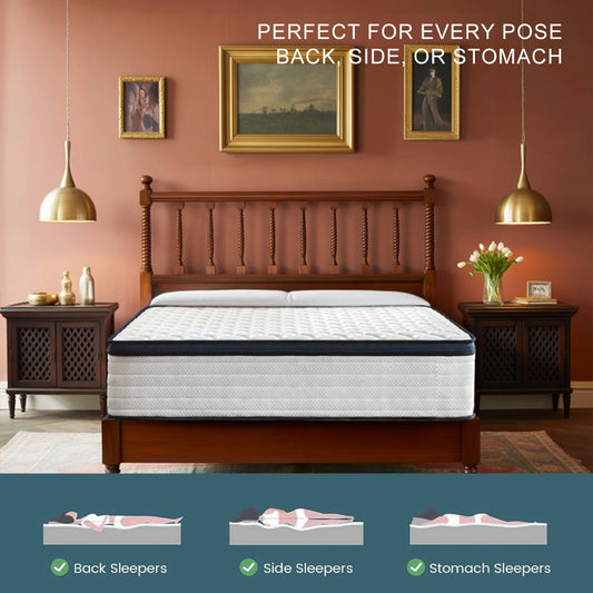 Queen Size Hybrid Mattress 10 12 14 Inch Pressure Relief