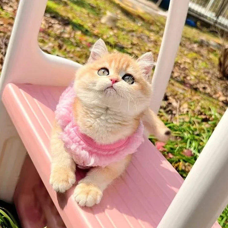 Newborn Cat Kitten Velvet Clothing Winter Warm Little Pet Sweater for Small Animals Bunny Pullovers Clothes Teacup Poodle XXXS