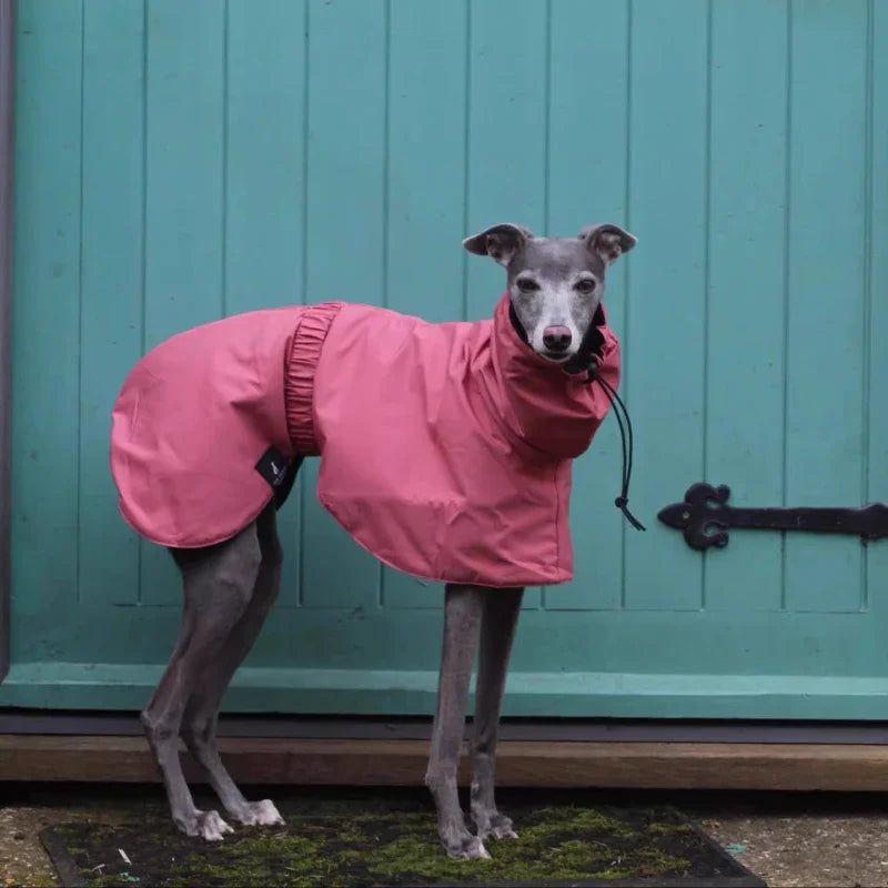 Luxury Waterproof Greyhound Dog Raincoat . Windproof Whippet Outdoor Jacket