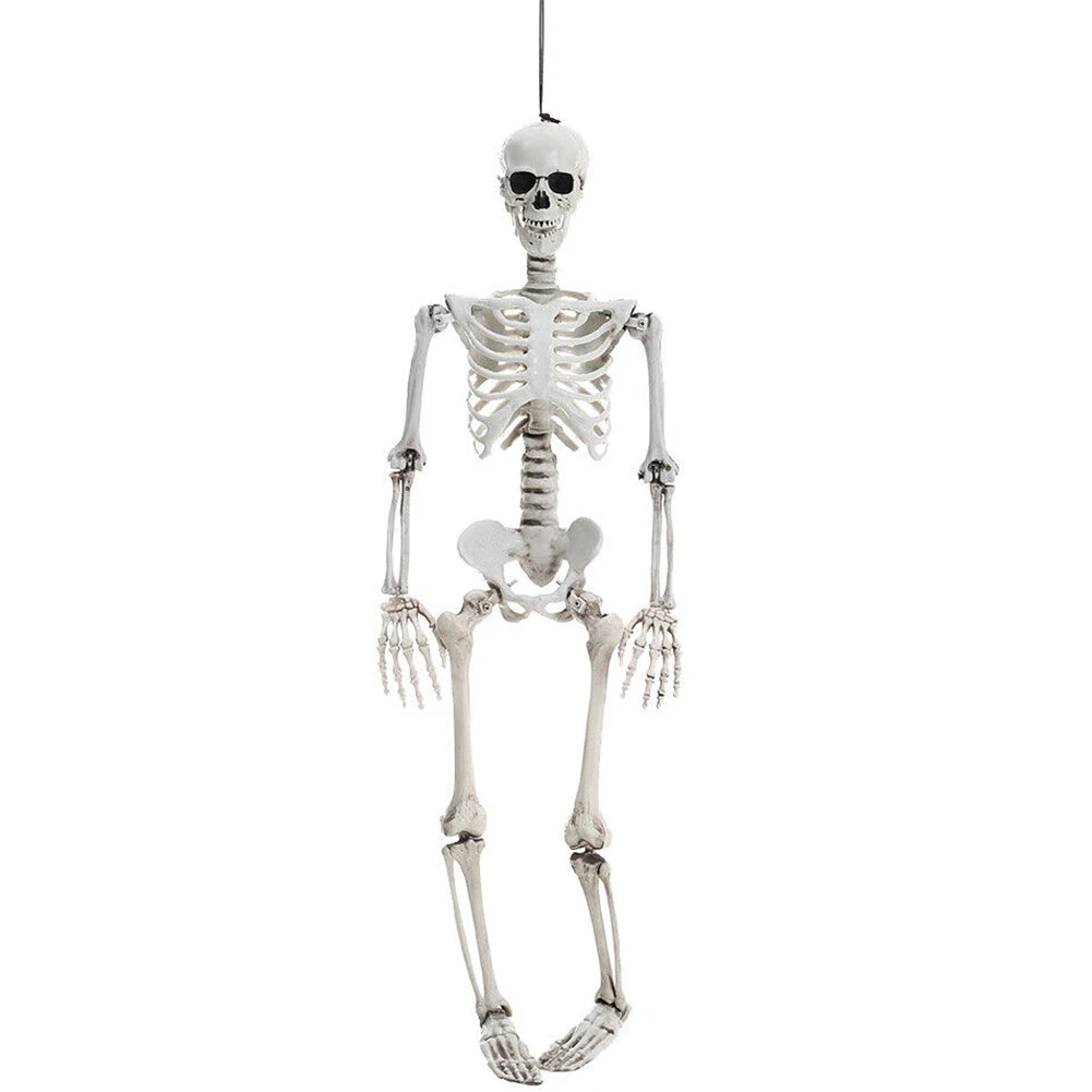 Life Size Haunted House Skull Prop Halloween Skeleton