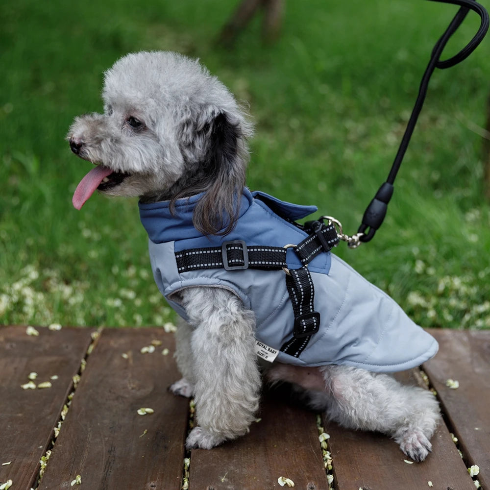 Adjustable Dog Harness Jacket with Leash for Small Dogs