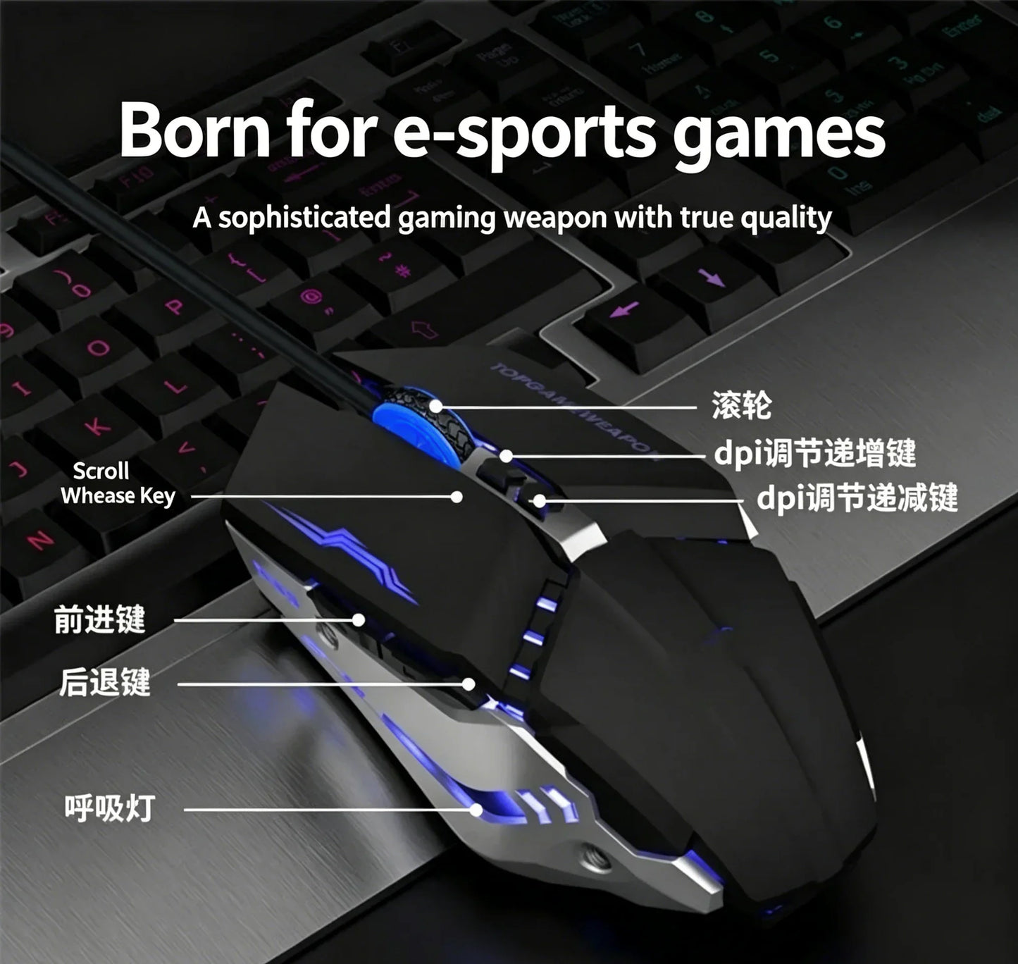 RGB Dual Mode Wireless Gaming Mouse. Rechargeable Ergonomic LED Mouse for PC & Laptop