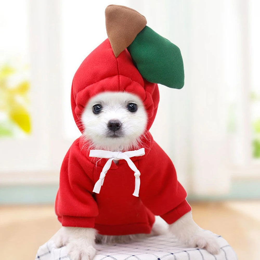 Cute Fruit Dog Clothes for Small Dogs Hoodies Warm Fleece Pet Clothing Puppy Cat Christmas Costume Coat Chihuahua Jacket Suits