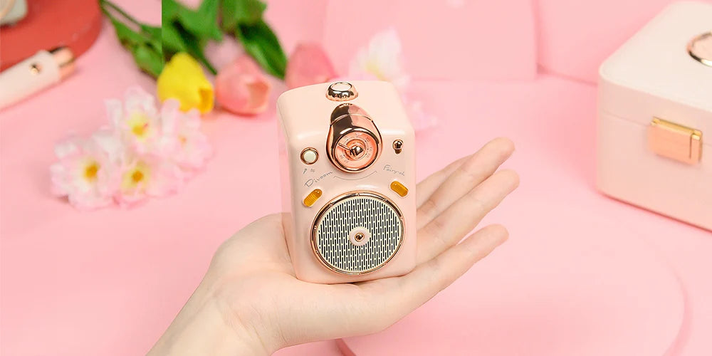 Divoom Fairy-OK Portable Bluetooth Karaoke Speaker with Wireless Microphone | Retro Mini Speaker | Rechargeable Music System
