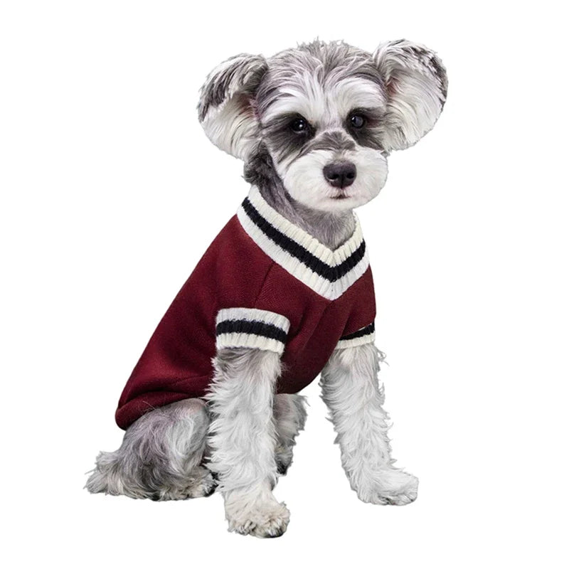 College Style Pet Dog Sweater. Warm Winter Outfit for Small & Medium Dogs