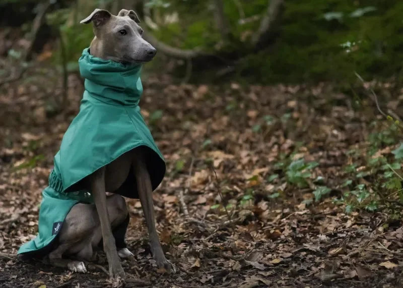 Luxury Waterproof Greyhound Dog Raincoat . Windproof Whippet Outdoor Jacket
