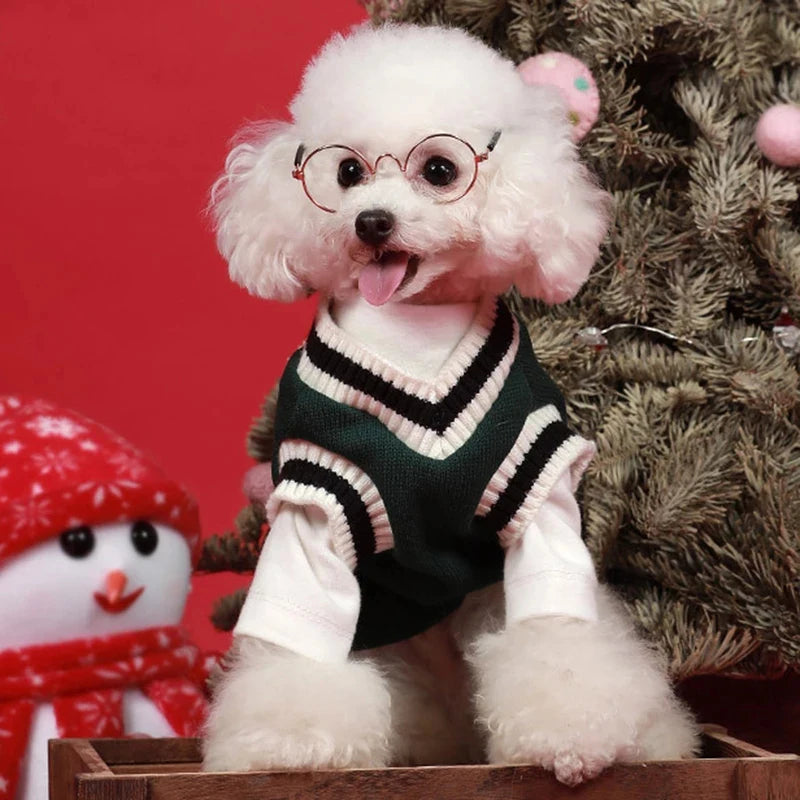 College Style Pet Dog Sweater. Warm Winter Outfit for Small & Medium Dogs