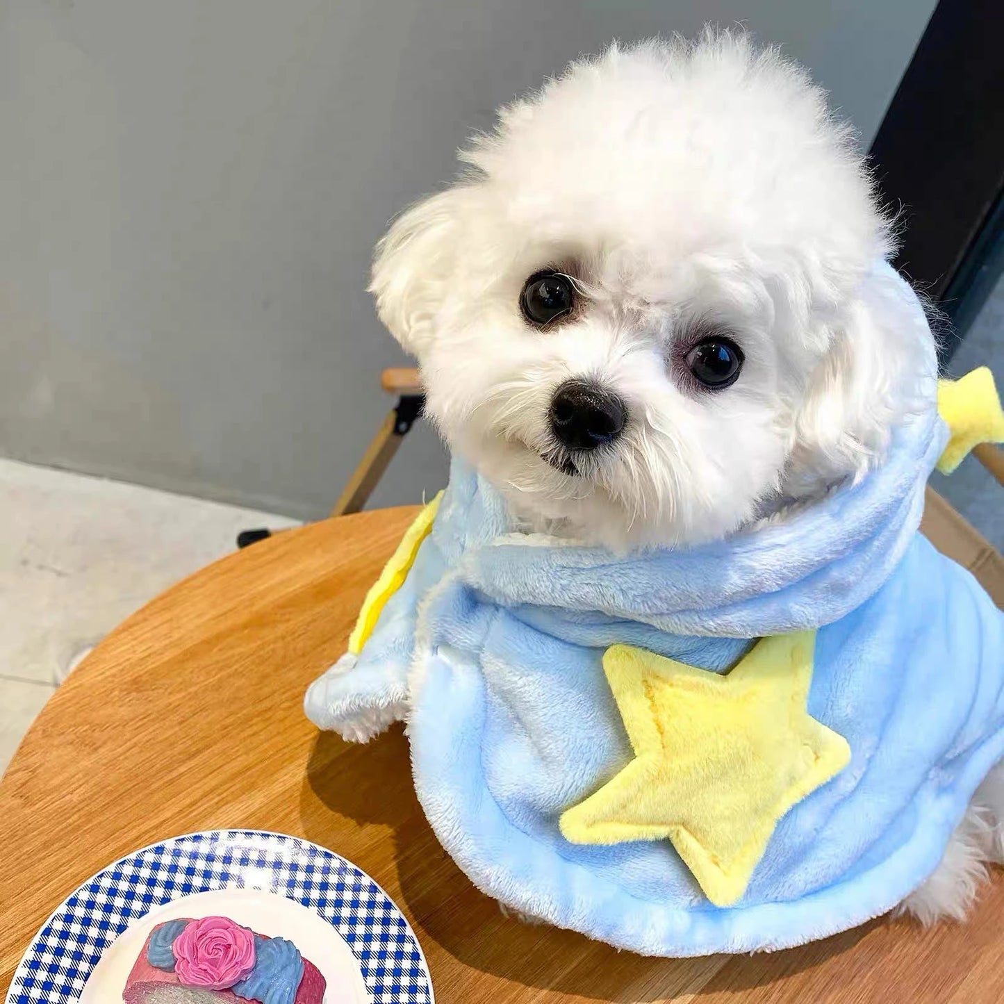 Dog and cat autumn and winter blanket cape cloak robe, warm sleep blanket for cats and pets, thickened quilt, machine washable,