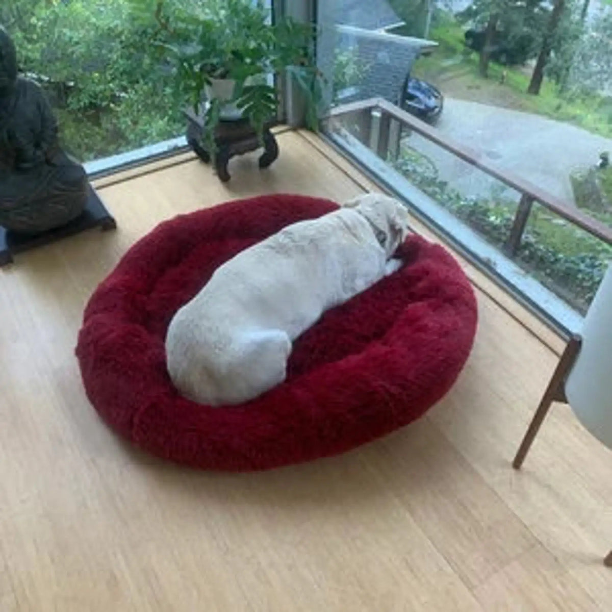 Plush Donut Dog Bed – Soft Calming Round Pet Bed