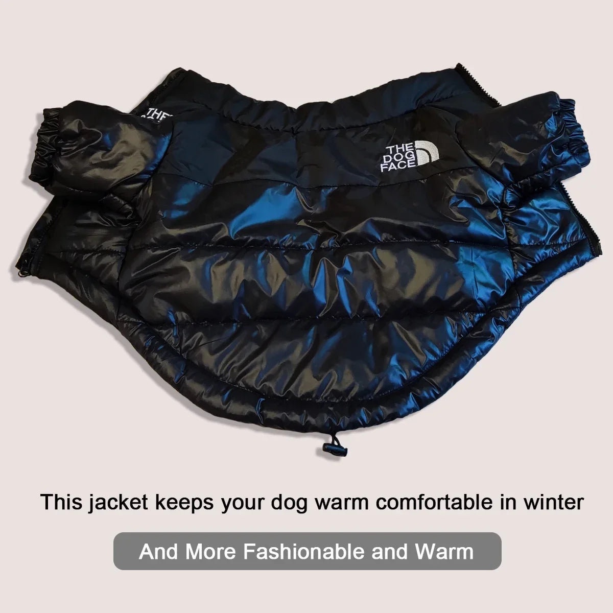 Winter Windproof Dog Jacket for French Bulldogs & Small Dogs