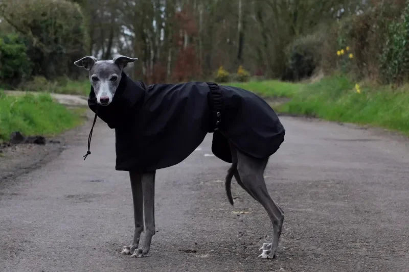 Luxury Waterproof Greyhound Dog Raincoat . Windproof Whippet Outdoor Jacket