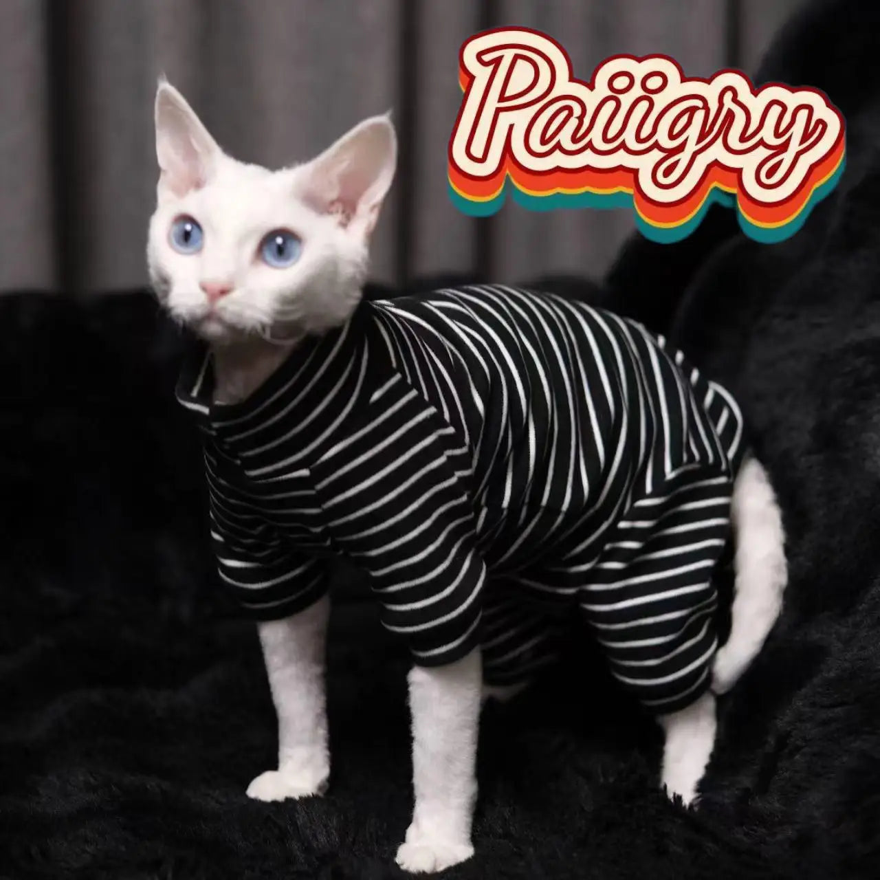 Cozy Striped Hairless Cat Sweater.  Soft Warm Pet Turtleneck Outfit