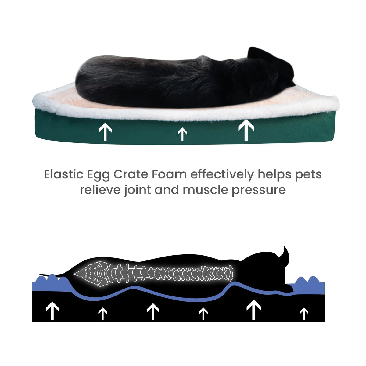 Orthopedic Memory Foam Dog Bed – Washable Removable Cover Pet Mat