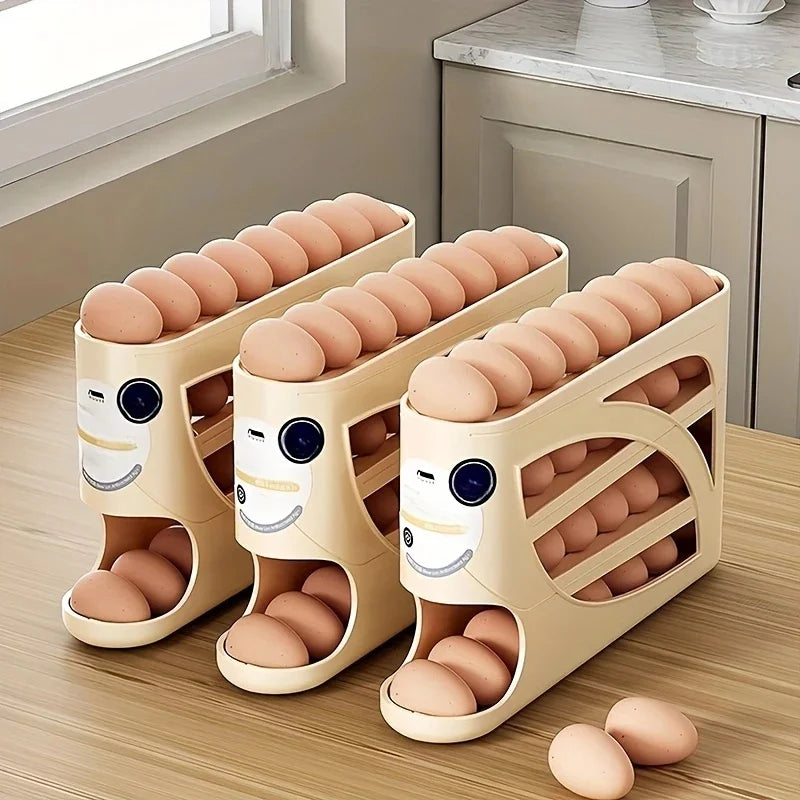 Smart Organization for a Clutter-Free Refrigerator