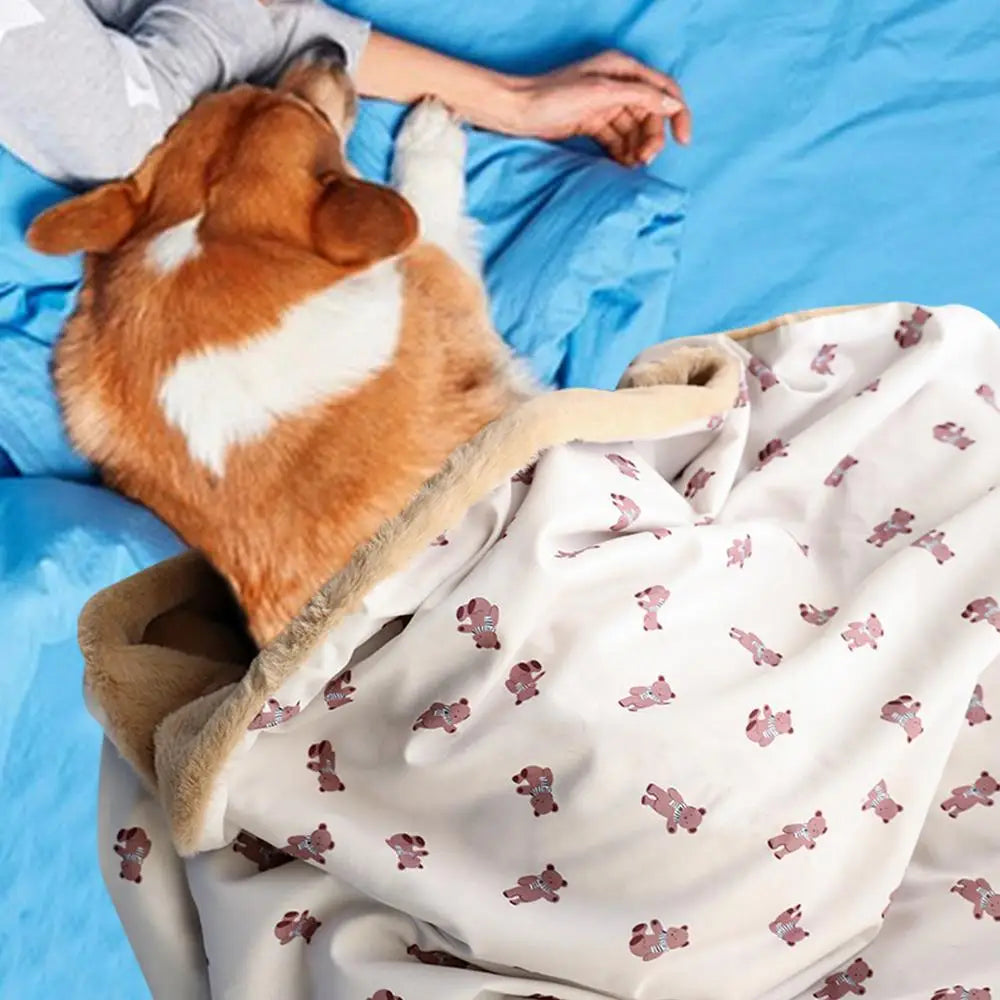 Dog Winter Coat With Hat Cat Cold Weather Coat Wraps Pets Wear Hats And Blankets Cat Cold Weather Coat Wraps Cute Soft