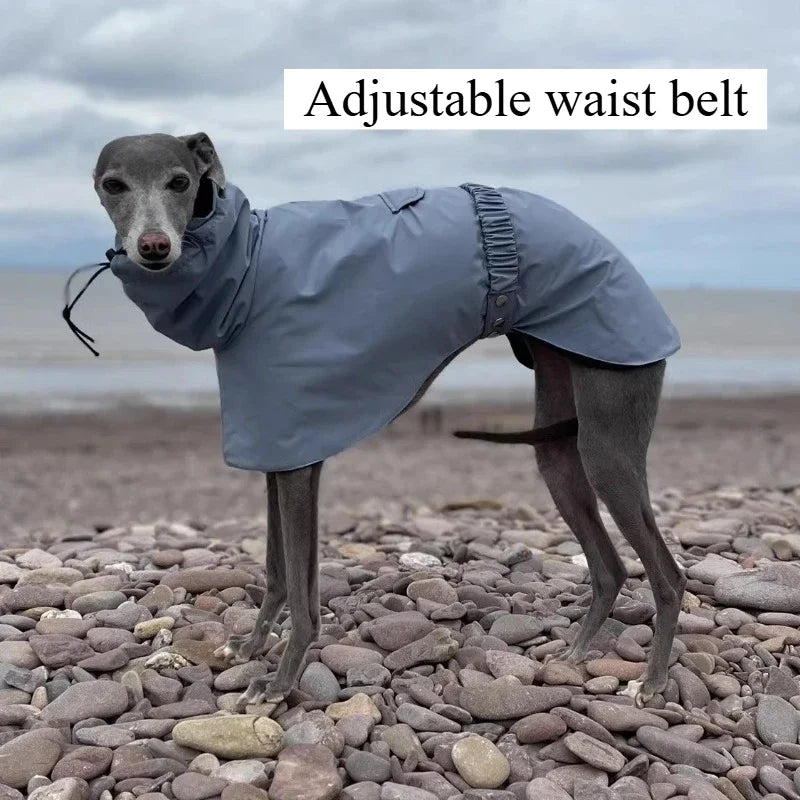 Luxury Waterproof Greyhound Dog Raincoat . Windproof Whippet Outdoor Jacket