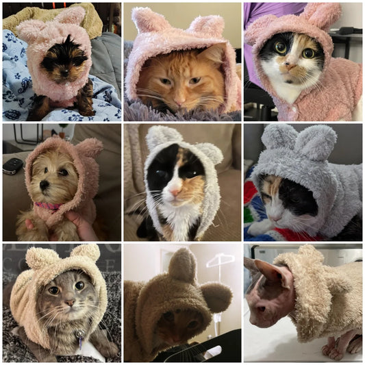 Cute Bear Ear Hooded Pet Sweater. Warm Fleece Puppy & Cat Winter Hoodie