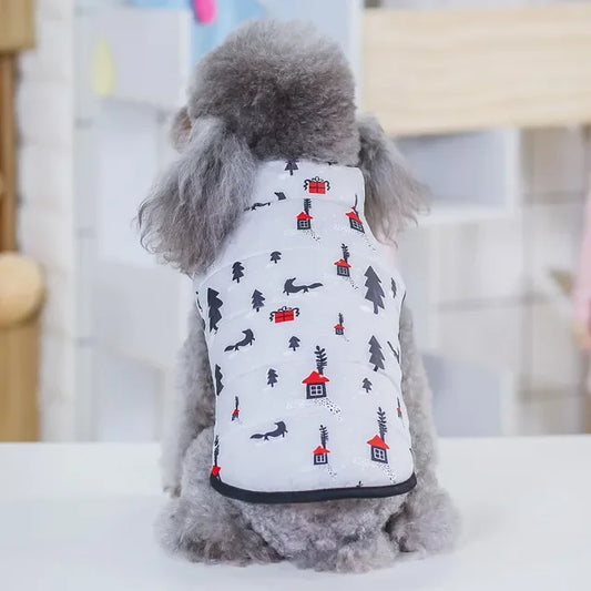 Leather Dog Winter Coat For Small Breeds Chihuahua Shih Tzu