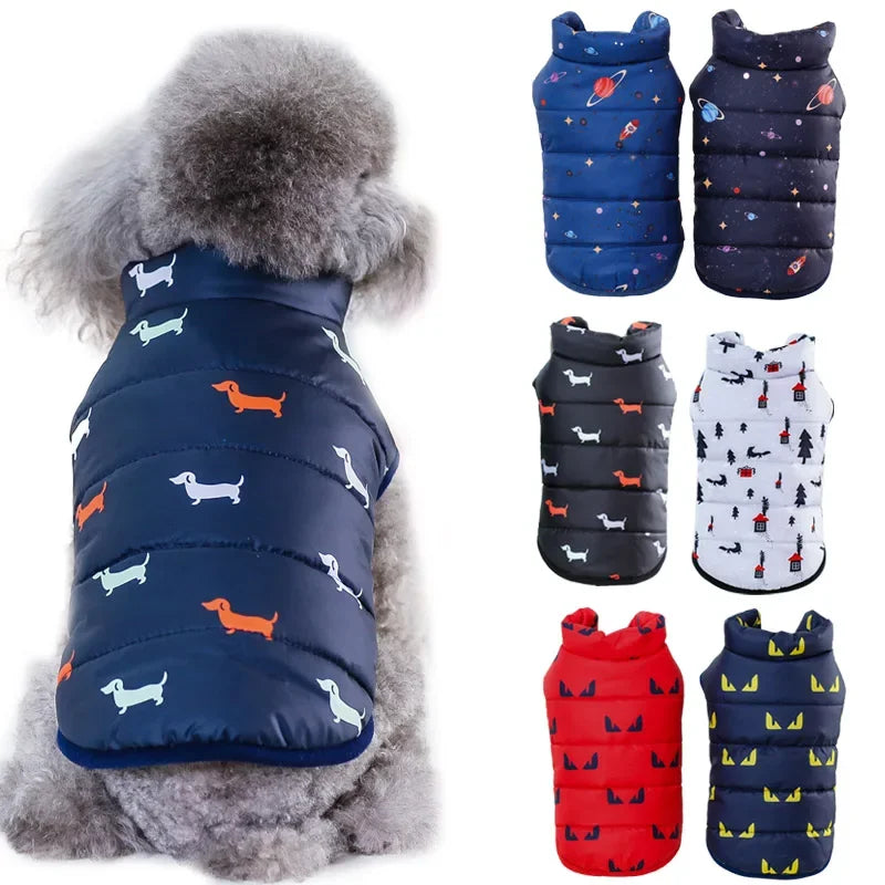 Winter Coat For Small Dogs Warm Jacket Chihuahua Shih Tzu