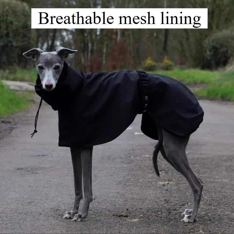 Luxury Waterproof Greyhound Dog Raincoat . Windproof Whippet Outdoor Jacket