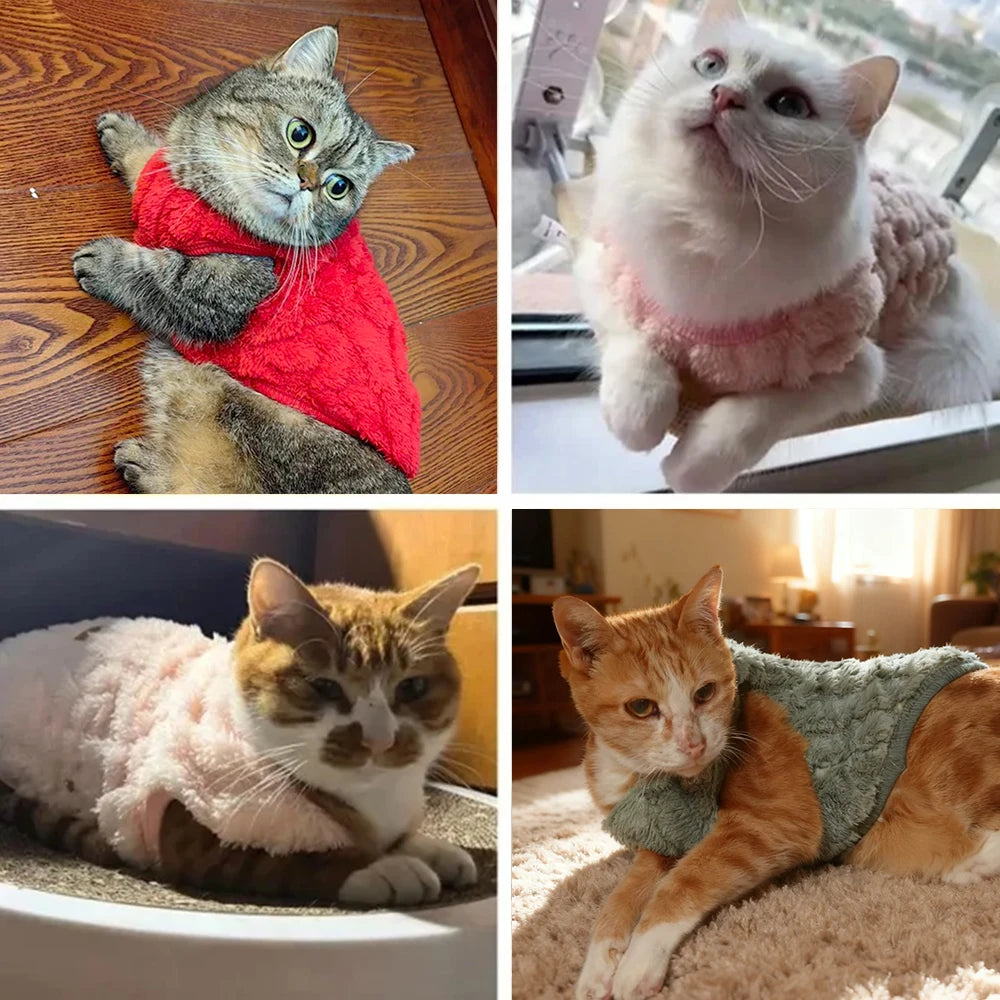 Winter Pet Clothes Warm Fleece Kitten Vest Coat For Small Cats Dogs Cozy Plush Solid Pullover Sleeveless Sweater Sphynx Costume