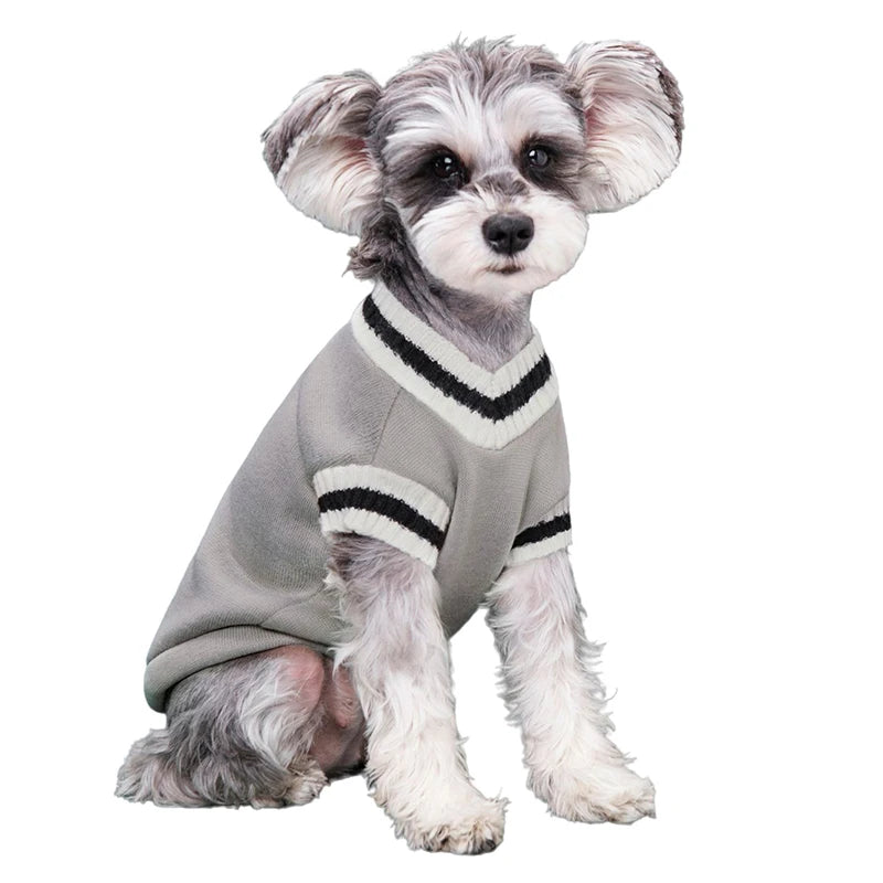 College Style Pet Dog Sweater. Warm Winter Outfit for Small & Medium Dogs