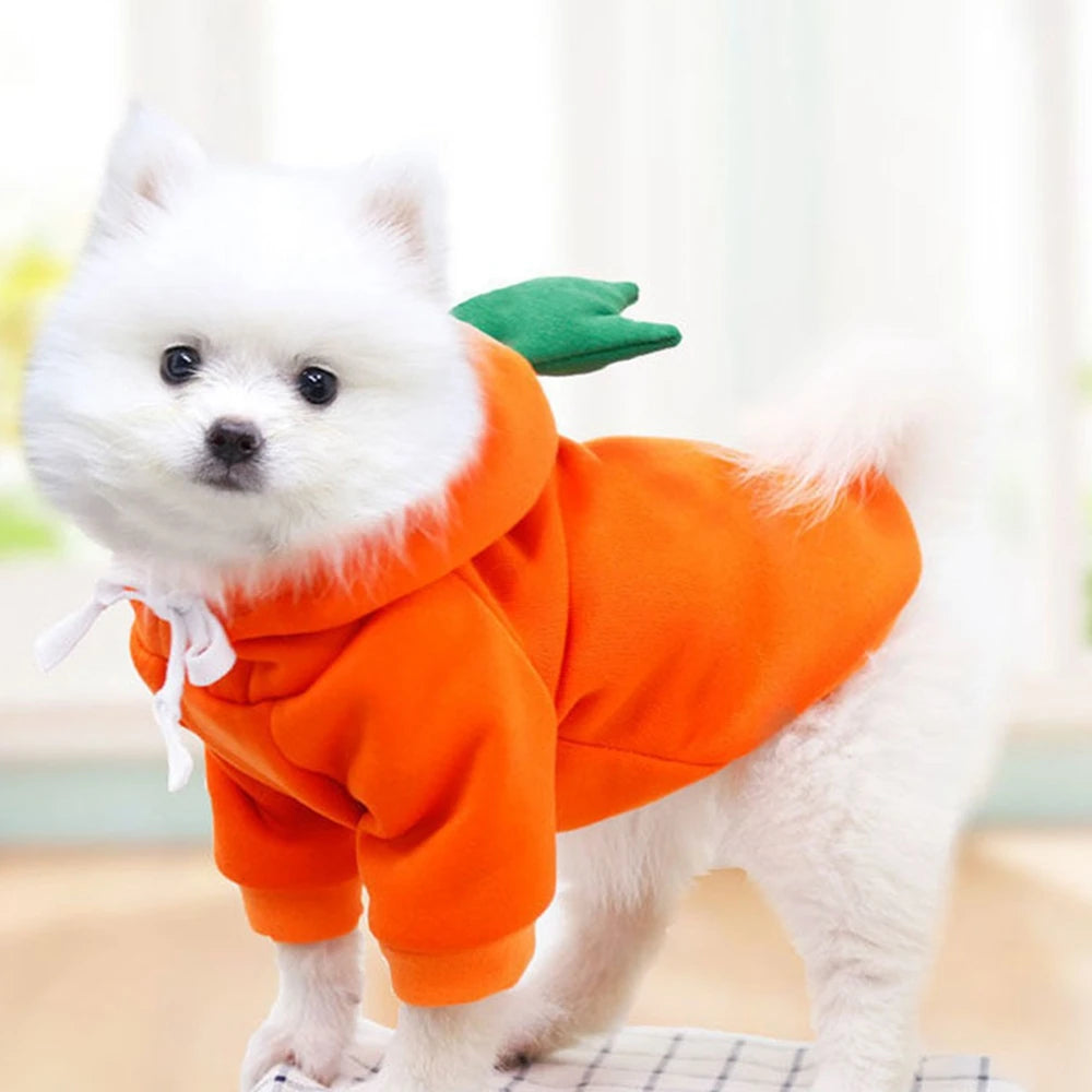 Cute Fruit Dog Clothes for Small Dogs Hoodies Warm Fleece Pet Clothing Puppy Cat Christmas Costume Coat Chihuahua Jacket Suits